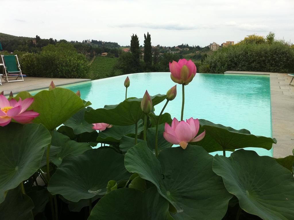 Agriturismo Raccianello Сан Джиминяно Екстериор снимка