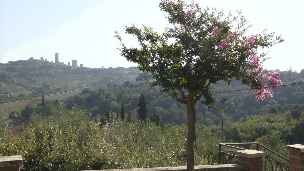 Agriturismo Raccianello Сан Джиминяно Екстериор снимка